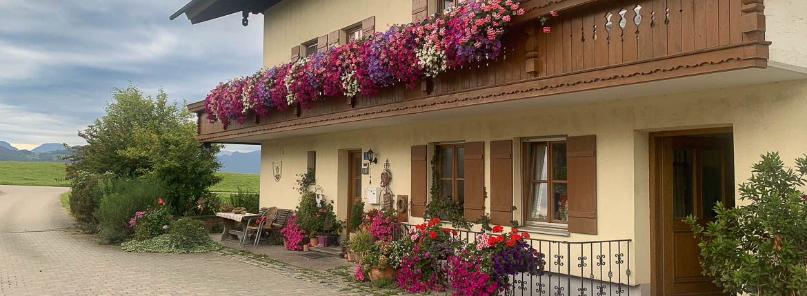 Sommerliche Blumenpracht im Innenhof