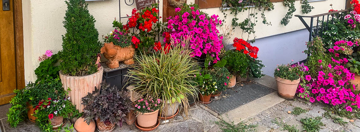 Blumenpracht am Eingang