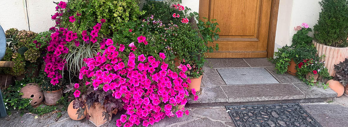 Blumenpracht am Eingang